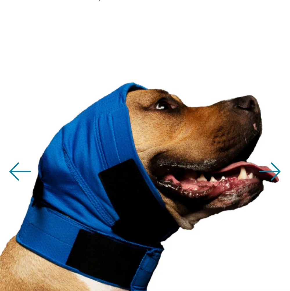 Dog No Flap Ear Wrap Size M